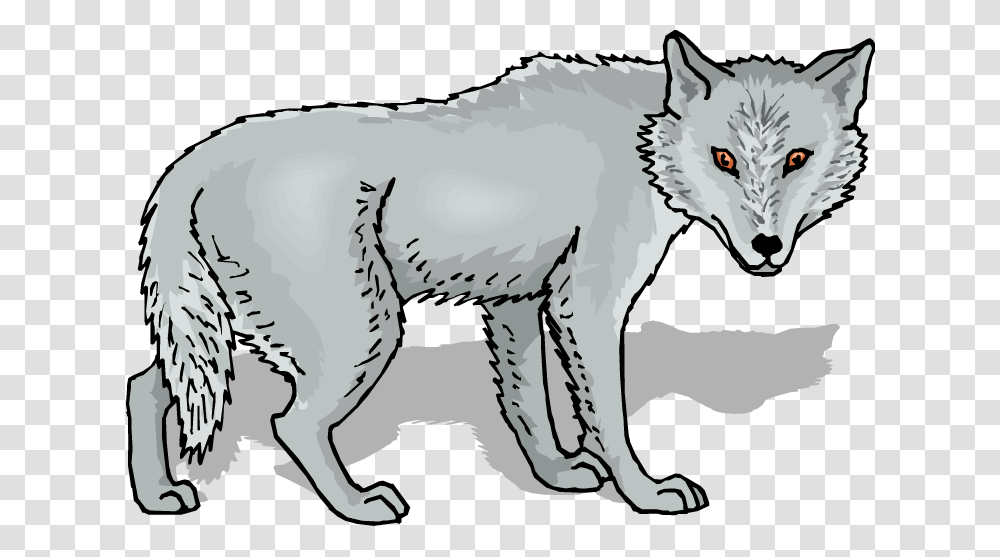 Grey Wolf Clipart, Mammal, Animal, Wildlife, Chicken Transparent Png