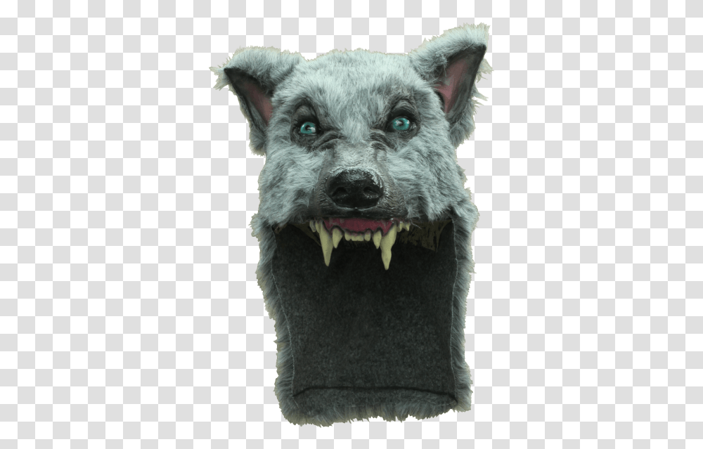 Grey Wolf Head Mask Grey Wolf Helmet, Dog, Pet, Canine, Animal Transparent Png