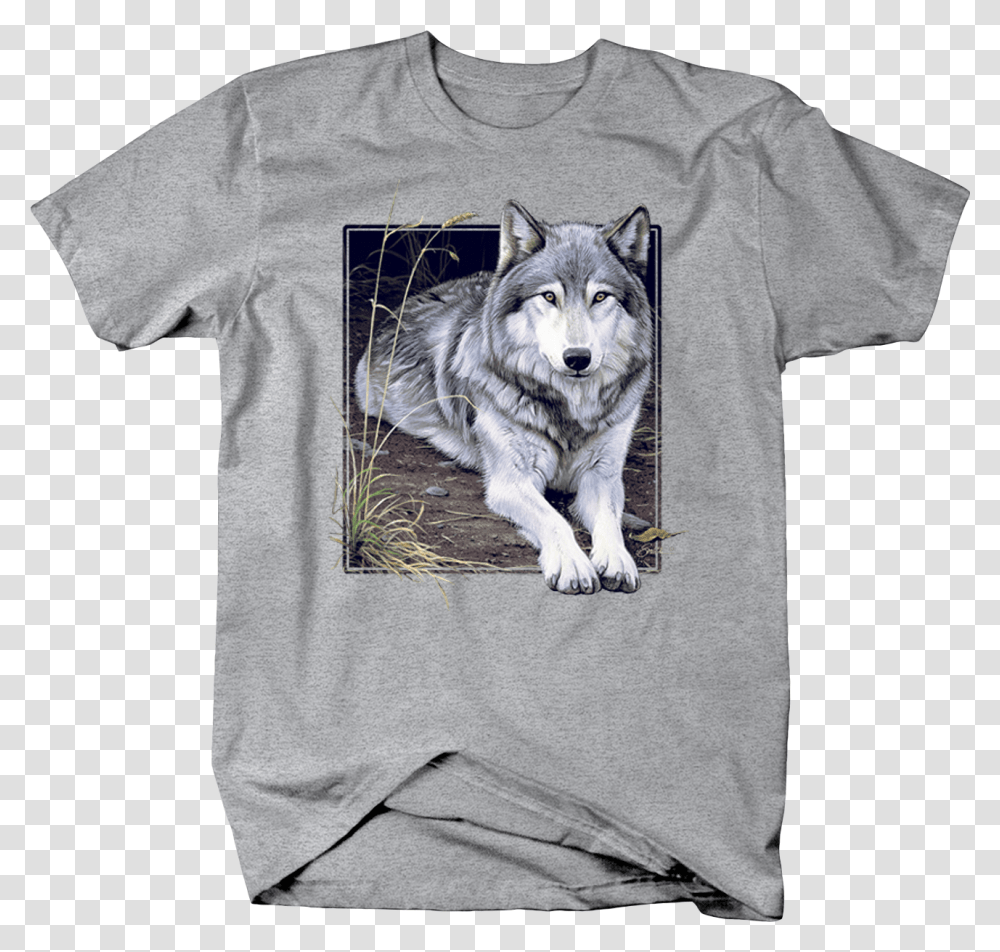 Grey Wolf Sitting On Wilderness Ground Staring Custom Puppy, Dog, Pet, Canine Transparent Png