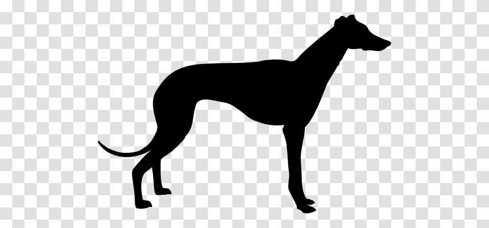 Greyhound Clip Art, Silhouette, Animal, Stencil, Mammal Transparent Png