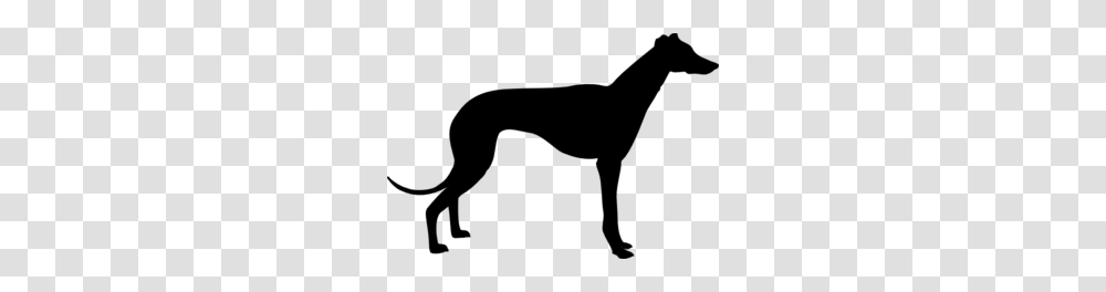 Greyhound Cliparts, Gray, World Of Warcraft Transparent Png