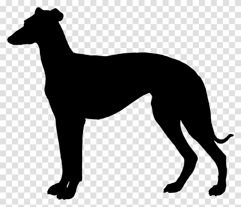 Greyhound Dog Silhouette Clip Art, Mammal, Animal, Horse, Wildlife Transparent Png