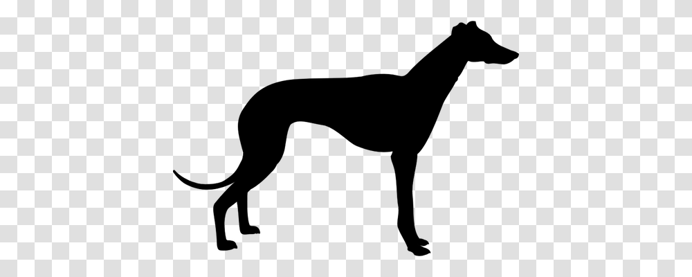 Greyhound Dog Silhouette Vector Clip Art, Gray, World Of Warcraft Transparent Png