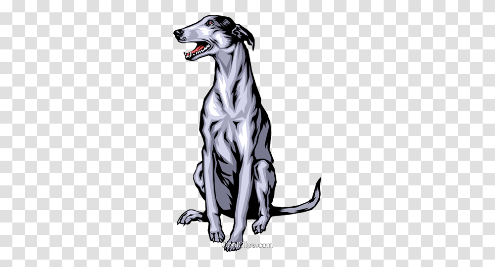 Greyhound Royalty Free Vector Clip Art Illustration, Animal, Mammal, Pet, Canine Transparent Png