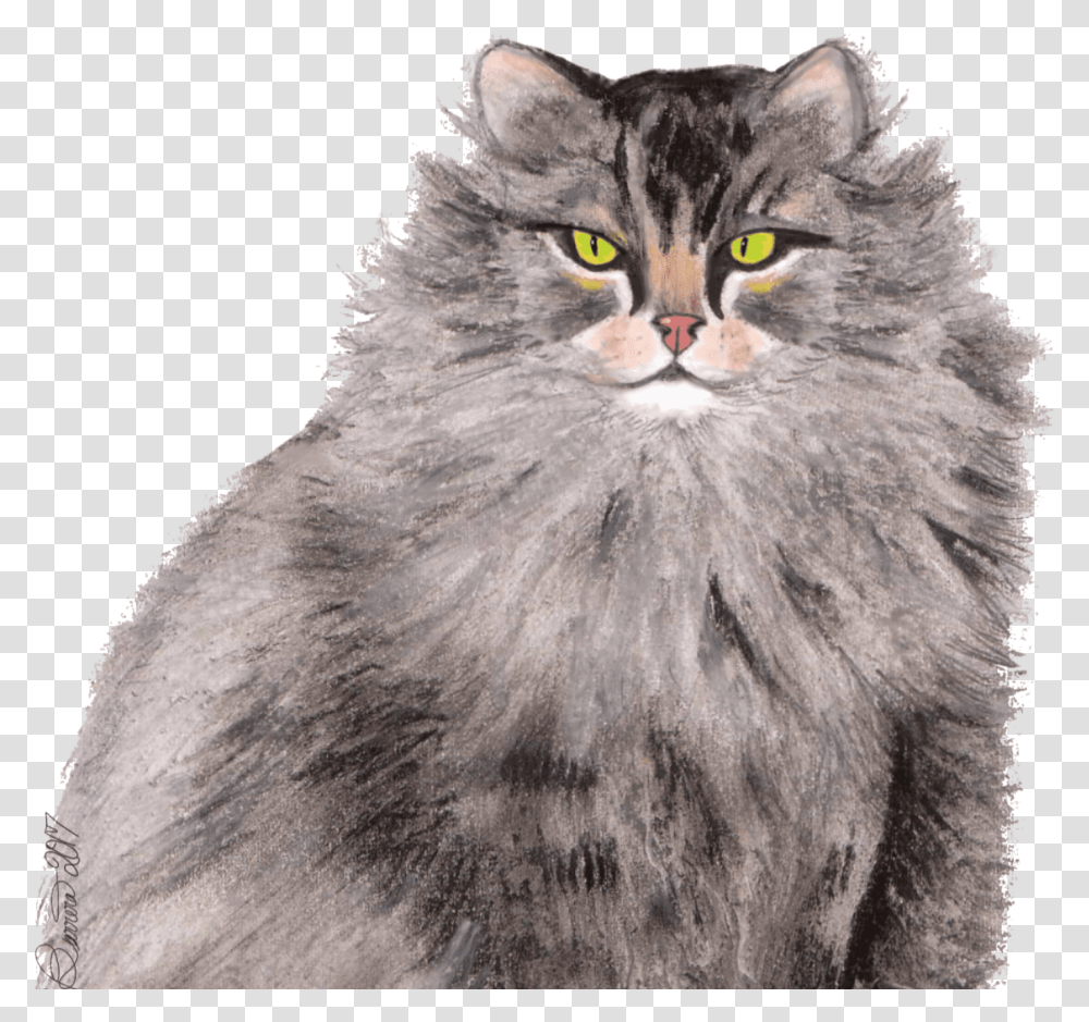 Greymainecoon Catsitting 8, Pet, Mammal, Animal, Manx Transparent Png