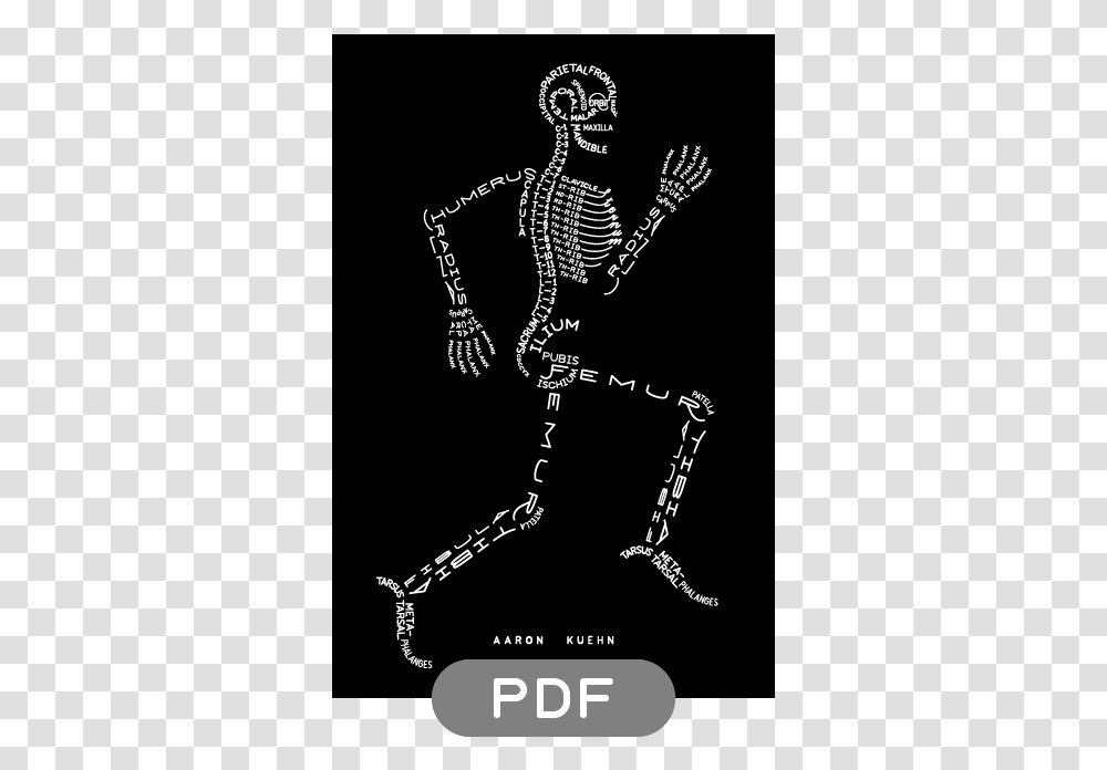 Greys Anatomy Desktop Background, Skeleton, Oboe, Musical Instrument, Leisure Activities Transparent Png