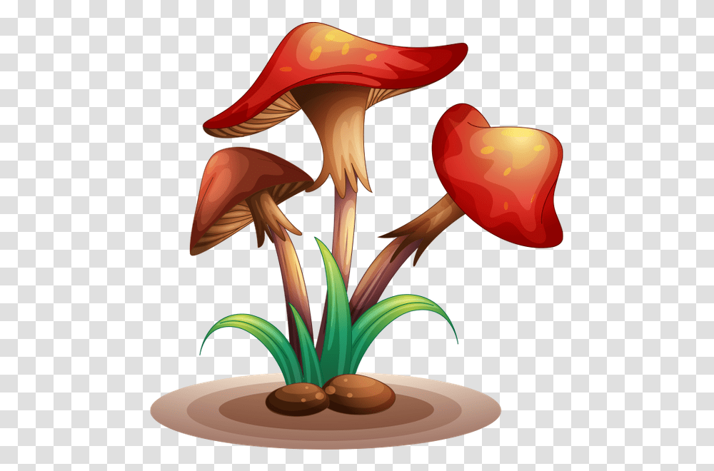 Gribi Lesnie Gribi Mushrooms Forest Mushrooms Pilze, Plant, Agaric, Fungus, Amanita Transparent Png