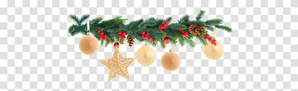 Grief After Suicide Christmas Garland With White Background, Tree, Plant, Conifer, Ornament Transparent Png