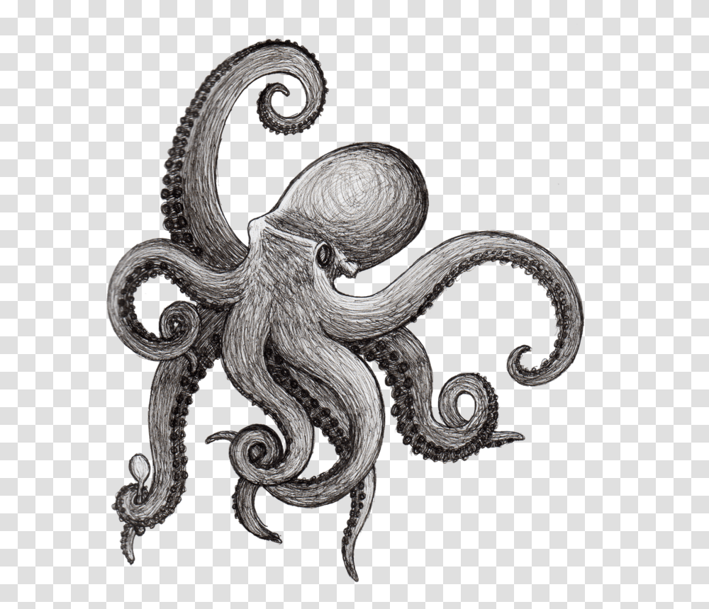 Griffe Tattoo Polvo Tattoo E Desenhos Artistic Jointed, Sea Life, Animal, Octopus, Invertebrate Transparent Png