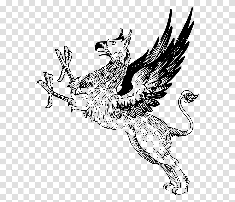 Griffin, Animals, Gray, World Of Warcraft Transparent Png