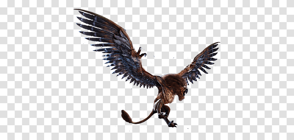 Griffin Background, Dinosaur, Animal, Eagle, Bird Transparent Png