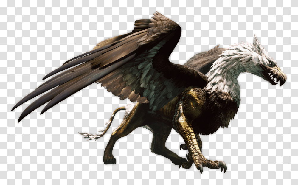 Griffin Dragons Dogma Dogma Griffin, Bird, Animal, Dinosaur, Reptile Transparent Png