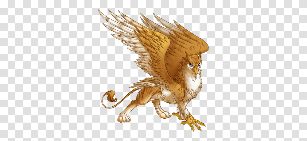 Griffin, Fantasy, Animal, Bird, Eagle Transparent Png