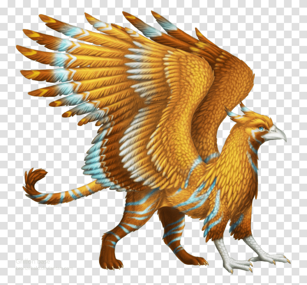 Griffin, Fantasy, Bird, Animal, Dinosaur Transparent Png