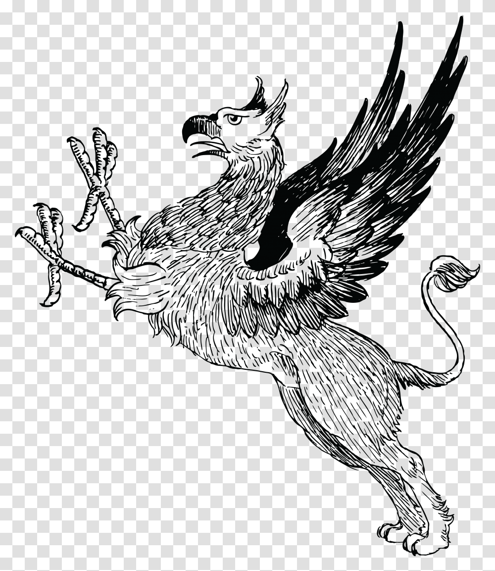 Griffin, Fantasy, Bird, Animal, Dragon Transparent Png
