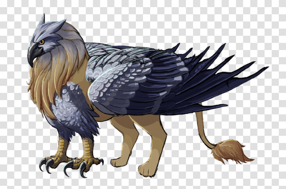 Griffin, Fantasy, Bird, Animal, Vulture Transparent Png