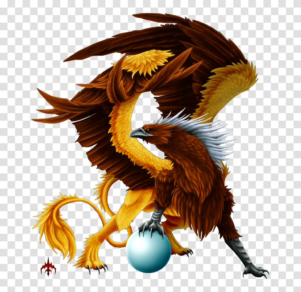 Griffin, Fantasy, Dragon, Bird, Animal Transparent Png