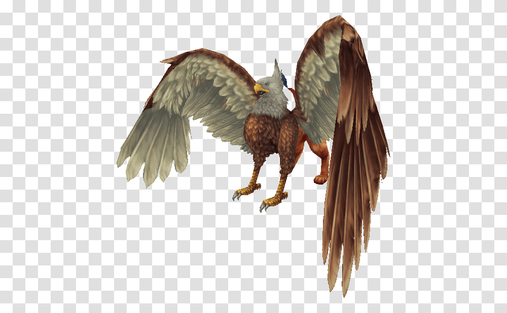 Griffin, Fantasy, Eagle, Bird, Animal Transparent Png
