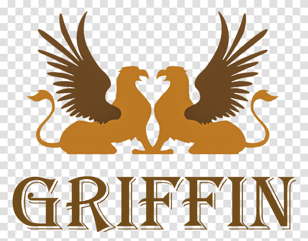 Griffin, Fantasy, Poster, Eagle, Bird Transparent Png