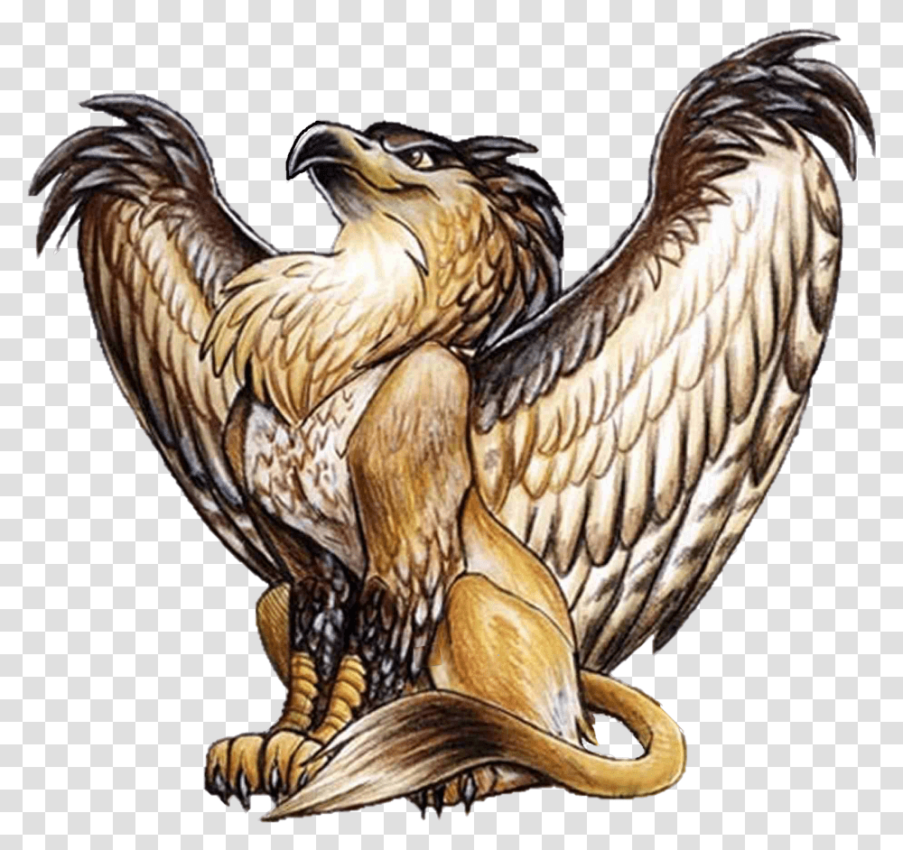 Griffin, Fantasy, Vulture, Bird, Animal Transparent Png