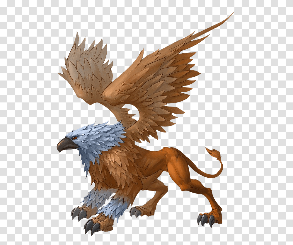 Griffin Griffin Mythical Creatures, Eagle, Bird, Animal, Bald Eagle Transparent Png