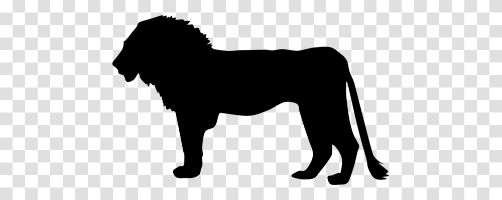 Griffin Silhouette Lion Drawing Dragon, Gray, World Of Warcraft Transparent Png