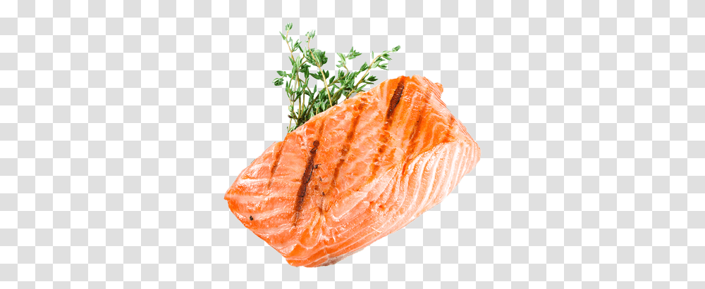Grilled Salmon White Background, Fungus, Animal, Plant, Sea Life Transparent Png