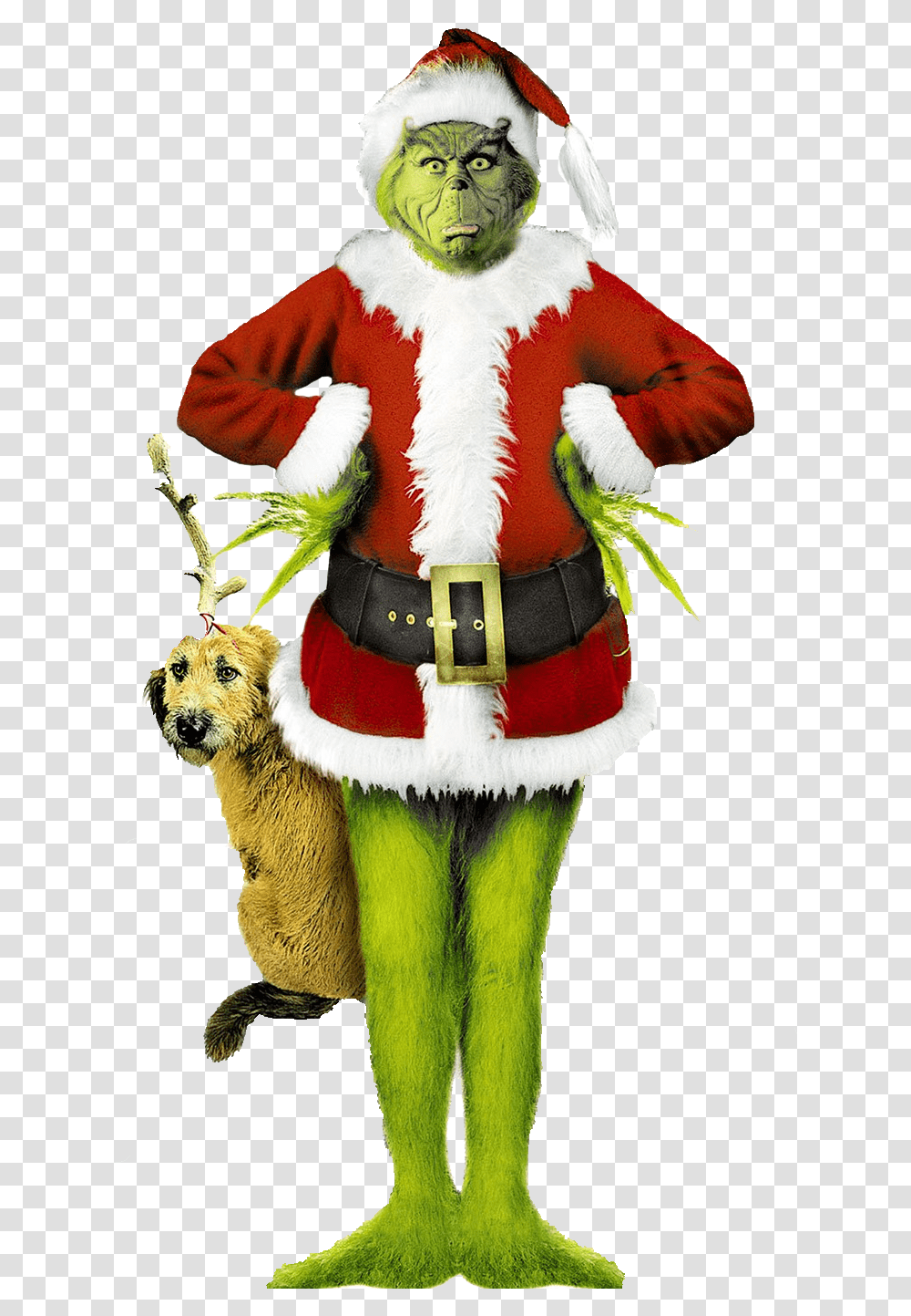 Grinch Jim Carrey Download Grinch Stole Christmas, Mascot, Costume, Person, Human Transparent Png