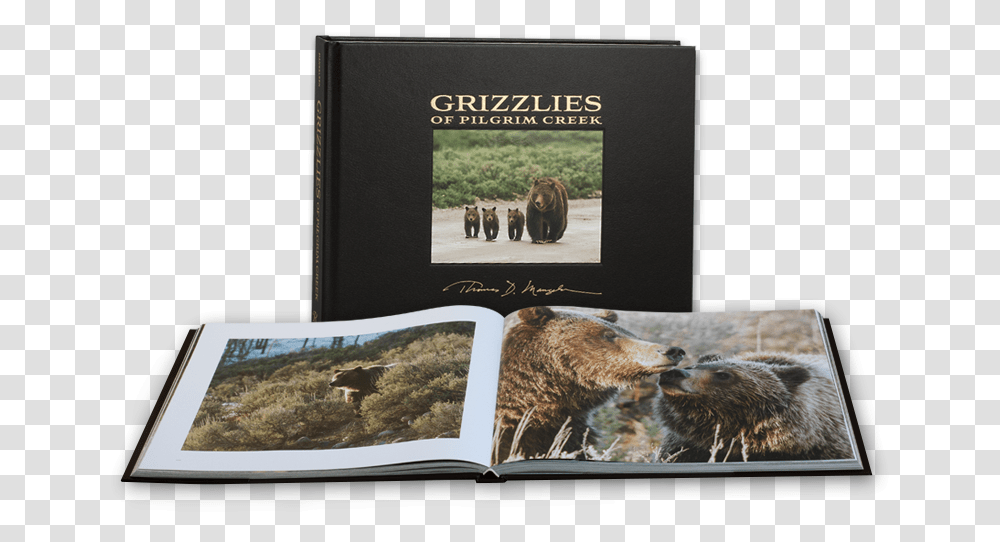 Grizzlies Of Pilgrim Creek Photographic Paper, Elephant, Wildlife, Mammal, Animal Transparent Png