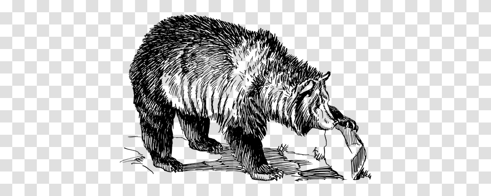 Grizzly Technology, Gray, World Of Warcraft Transparent Png