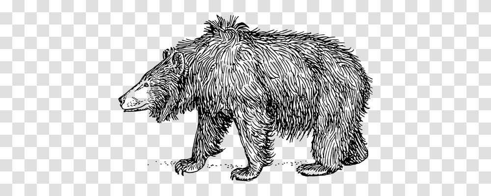 Grizzly Technology, Gray, World Of Warcraft Transparent Png
