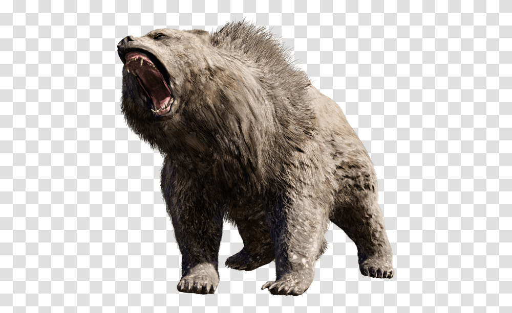 Grizzly Bear Angry Bear, Wildlife, Mammal, Animal, Brown Bear Transparent Png