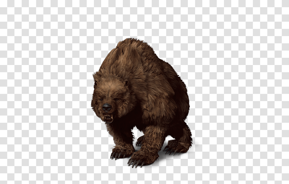 Grizzly Bear Bear The Witcher, Animal, Wildlife, Mammal, Sloth Transparent Png