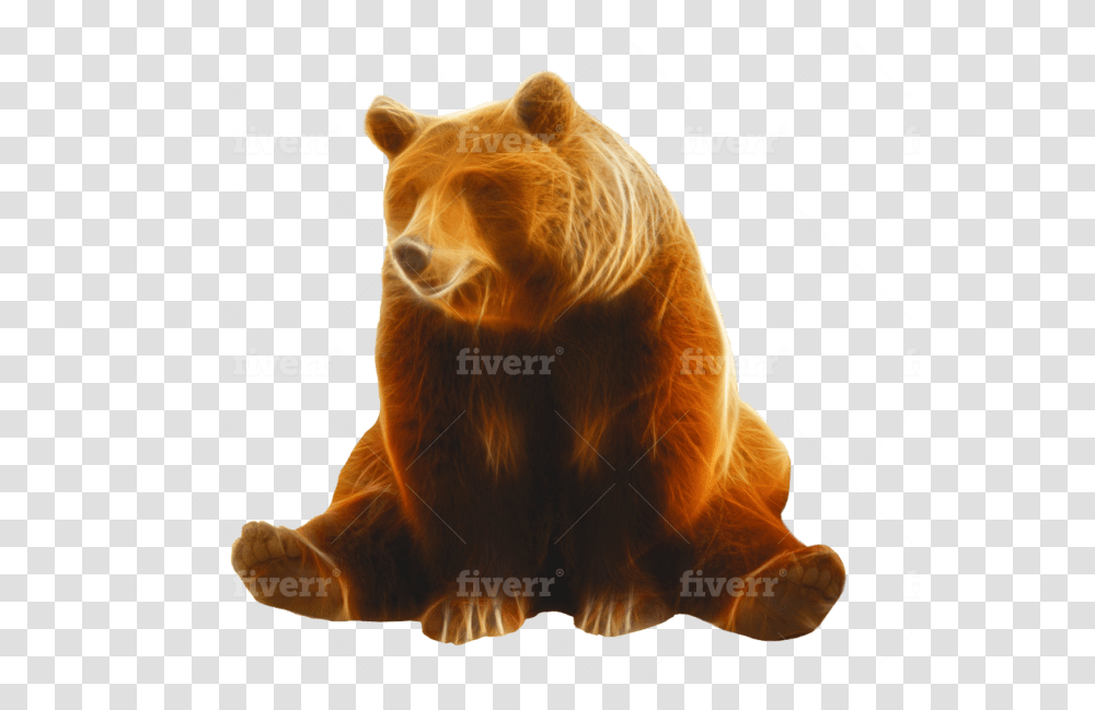 Grizzly Bear, Brown Bear, Wildlife, Mammal, Animal Transparent Png