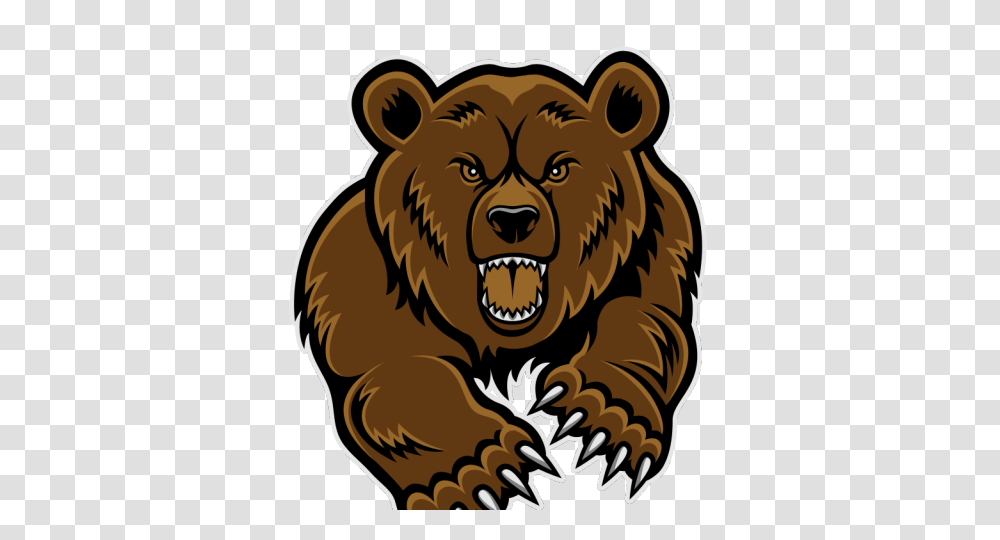 Grizzly Bear Clipart, Lion, Wildlife, Mammal, Animal Transparent Png