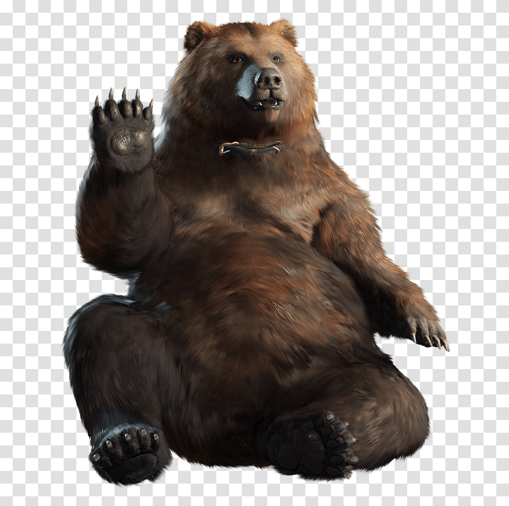 Grizzly Bear Download Far Cry 5 Cheeseburger, Wildlife, Animal, Brown Bear, Mammal Transparent Png