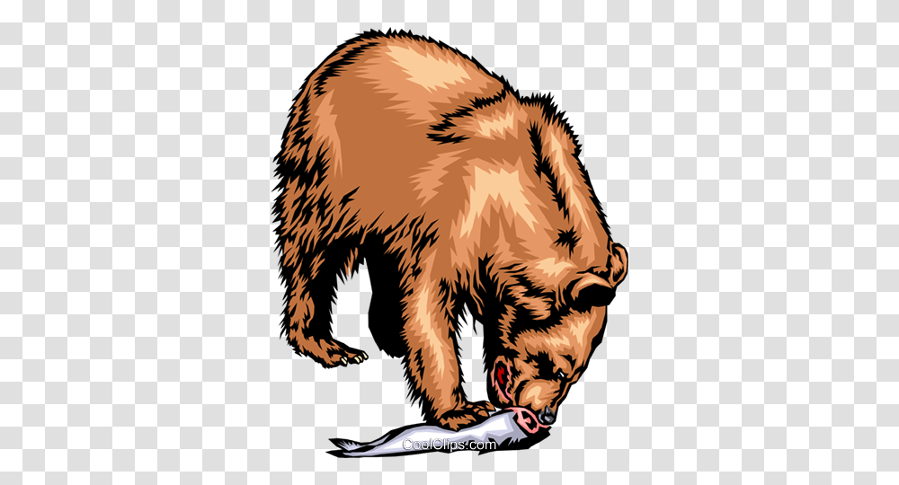 Grizzly Bear Eating A Salmon Royalty Free Vector Clip Art, Bird, Animal, Mammal, Wildlife Transparent Png
