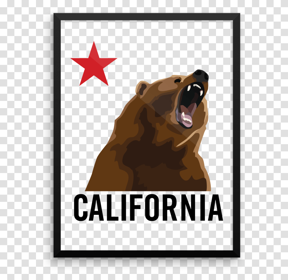 Grizzly Bear, Poster, Advertisement, Mammal, Animal Transparent Png