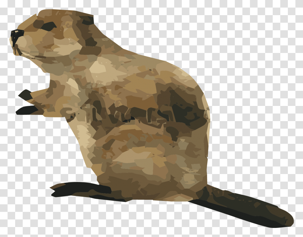 Grizzly Bear, Rodent, Mammal, Animal, Beaver Transparent Png