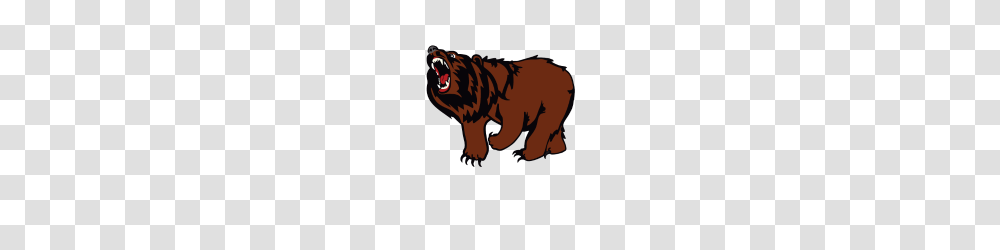 Grizzly Bear, Tattoo, Skin, Wildlife, Animal Transparent Png