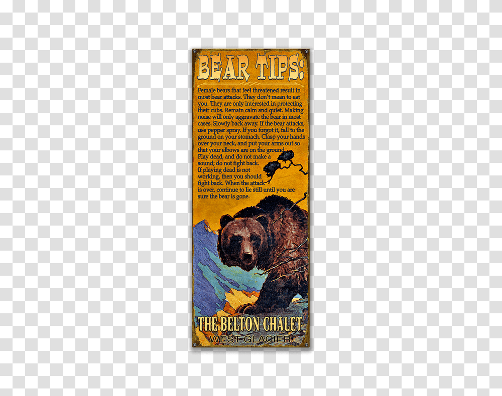 Grizzly Bear Tips, Advertisement, Poster, Dog, Pet Transparent Png