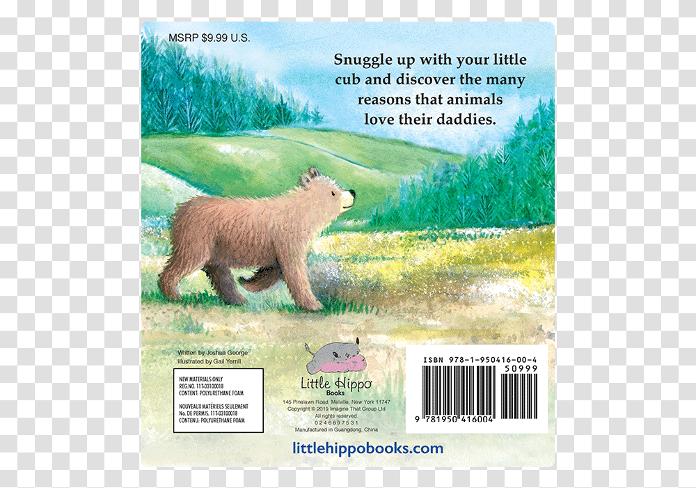 Grizzly Bear, Wildlife, Mammal, Animal, Poster Transparent Png