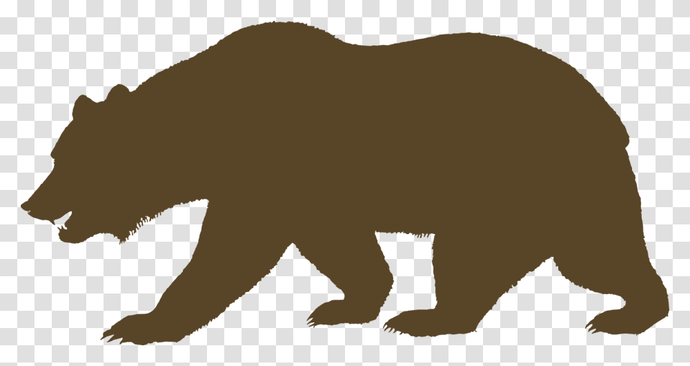 Grizzly Clipart Spirit Bear, Mammal, Animal, Wildlife, Pig Transparent Png