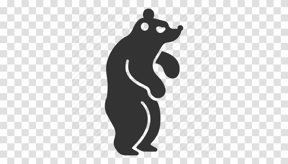 Grizzly Clipart Standing Bear, Blow Dryer, Appliance, Hair Drier, Animal Transparent Png
