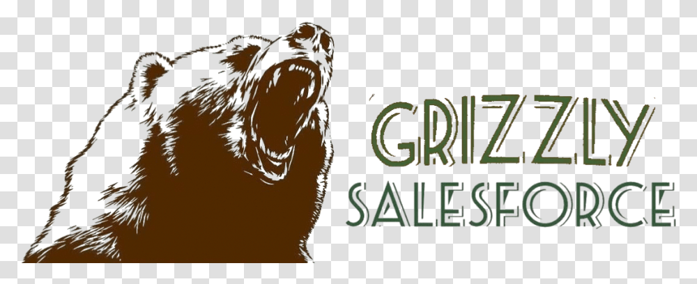 Grizzly Sales Force Punxsutawney Phil, Outdoors, Nature, Face Transparent Png