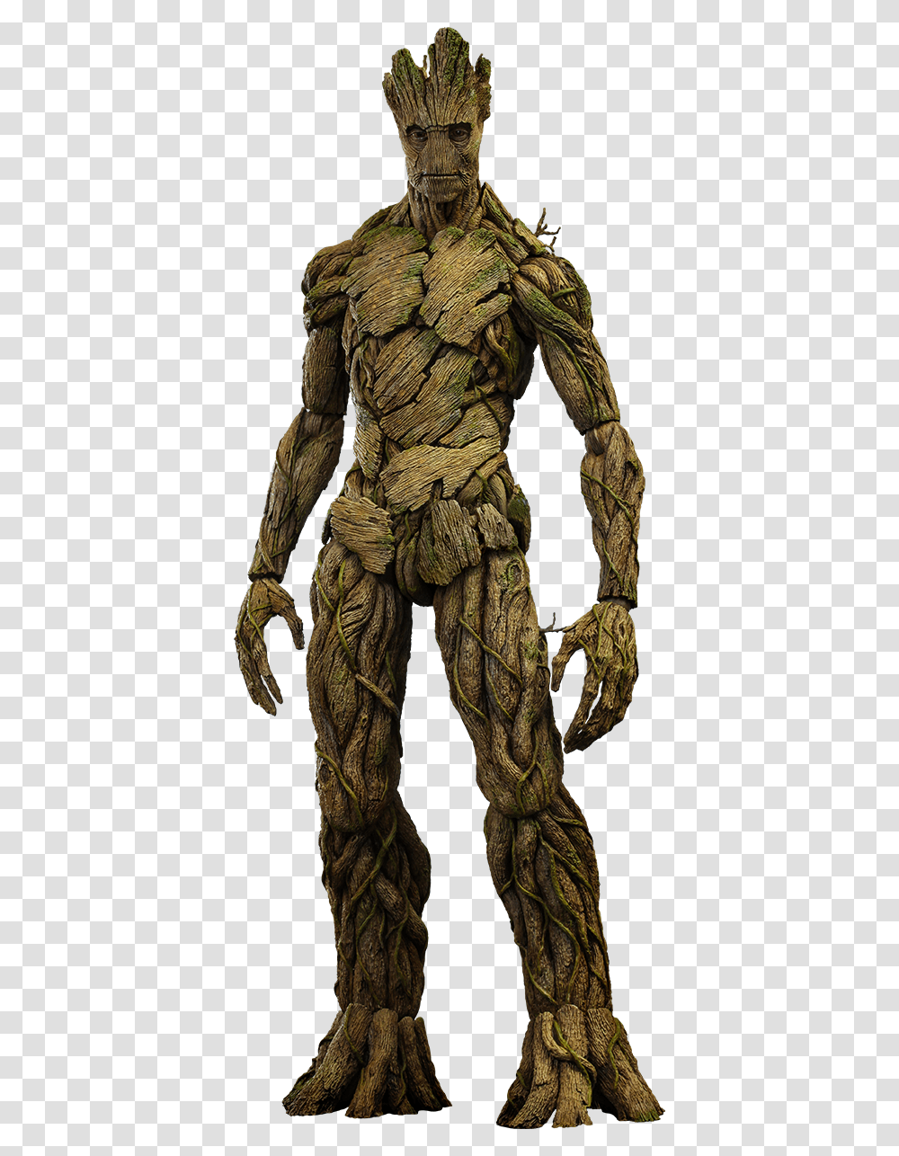Groot, Fantasy, Wood, Face, Person Transparent Png