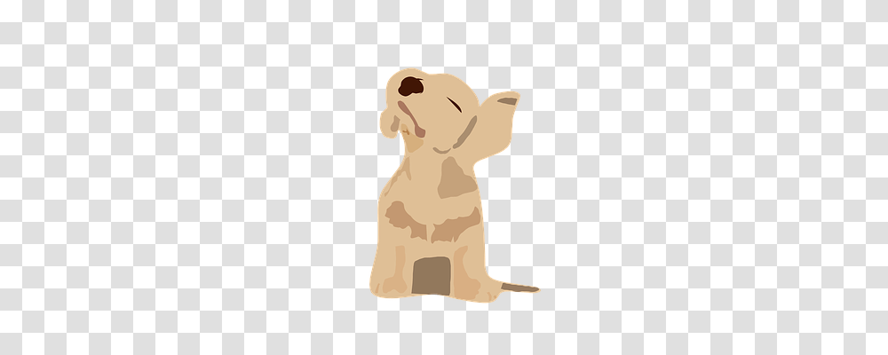 Grooving Music, Pet, Animal, Mammal Transparent Png