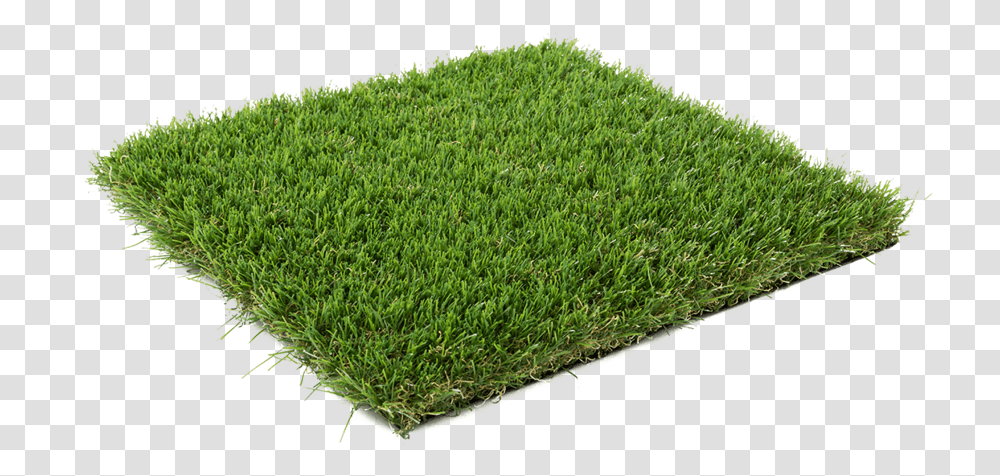 Ground Cover 2 Synthetic Grass Lawn Dark, Plant, Moss, Vegetation, Land Transparent Png