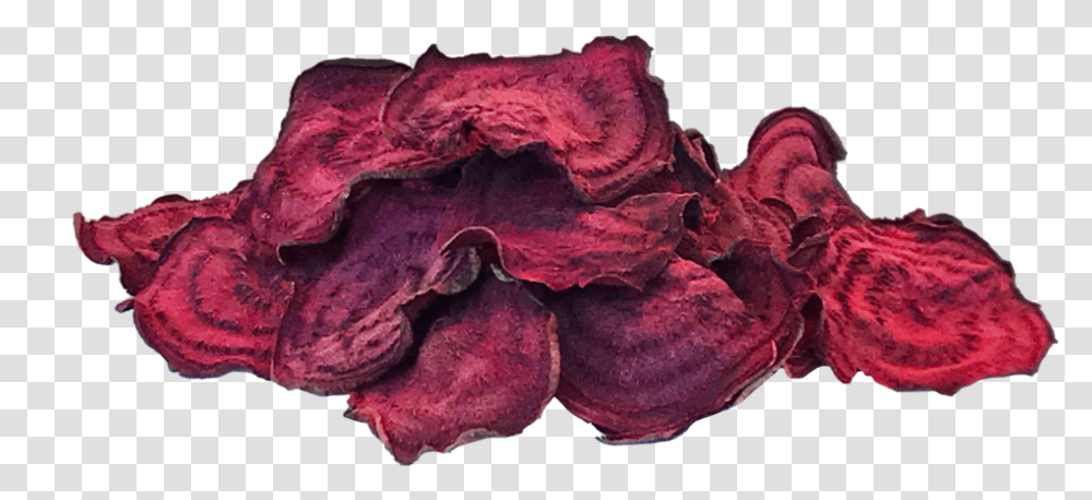 Ground Rules Snacks Beetroot Chips, Plant, Petal, Flower, Nature Transparent Png