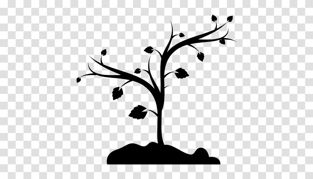 Ground Shapes Tree Trees Shape Nature Branches Icon, Silhouette, Plant, Stencil, Bird Transparent Png
